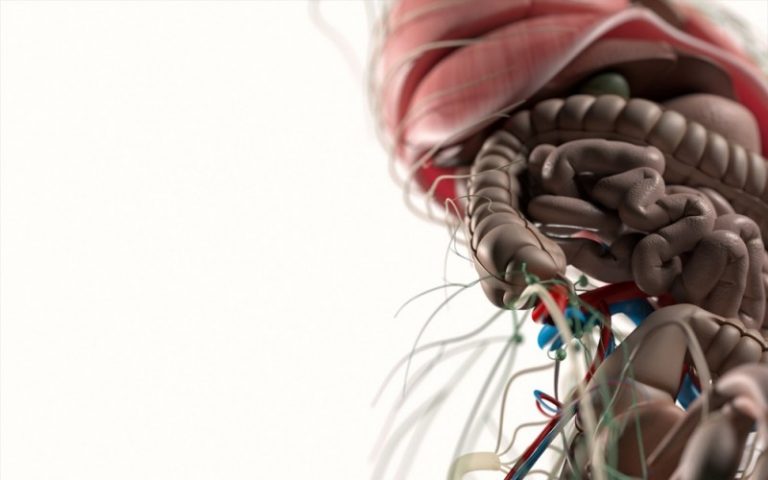 Największe sito w Twoim ciele. Przepona i jej korelacje anatomiczne