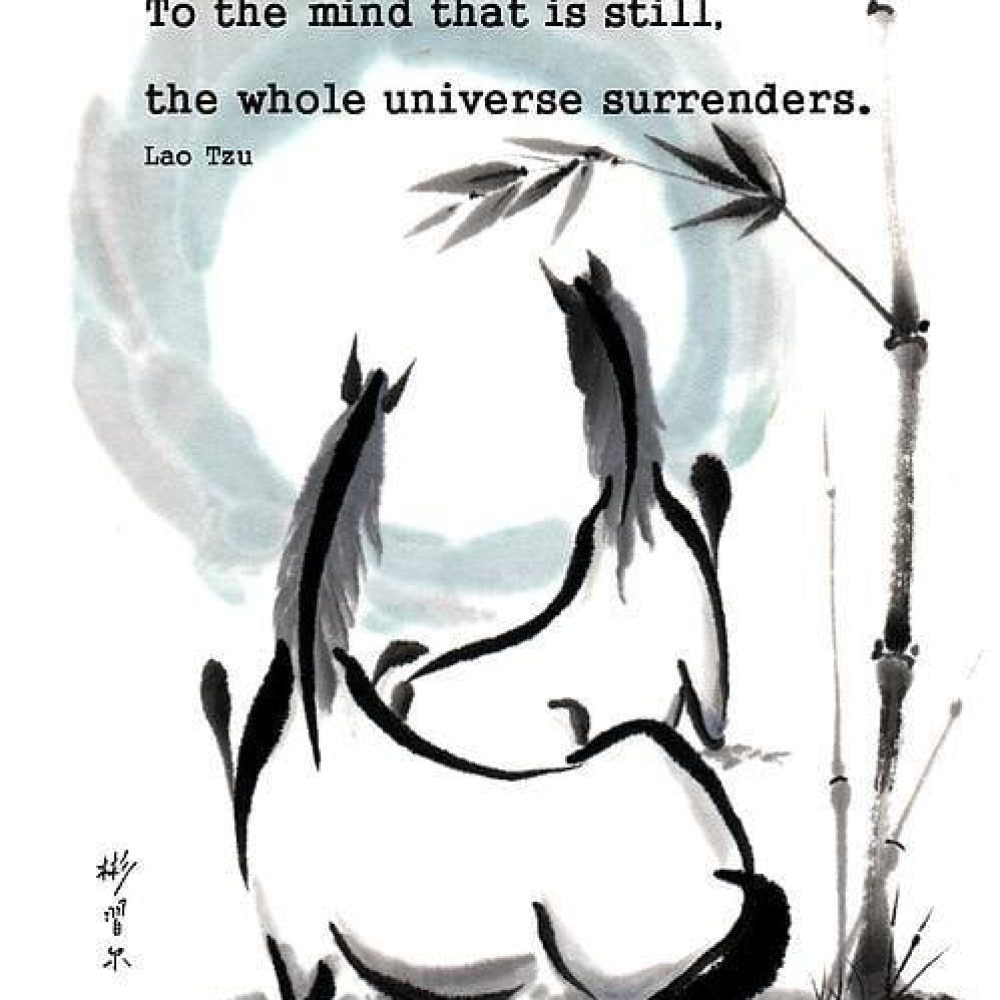 Stillness is one of the most essential components of the cranio-sacral process. …
