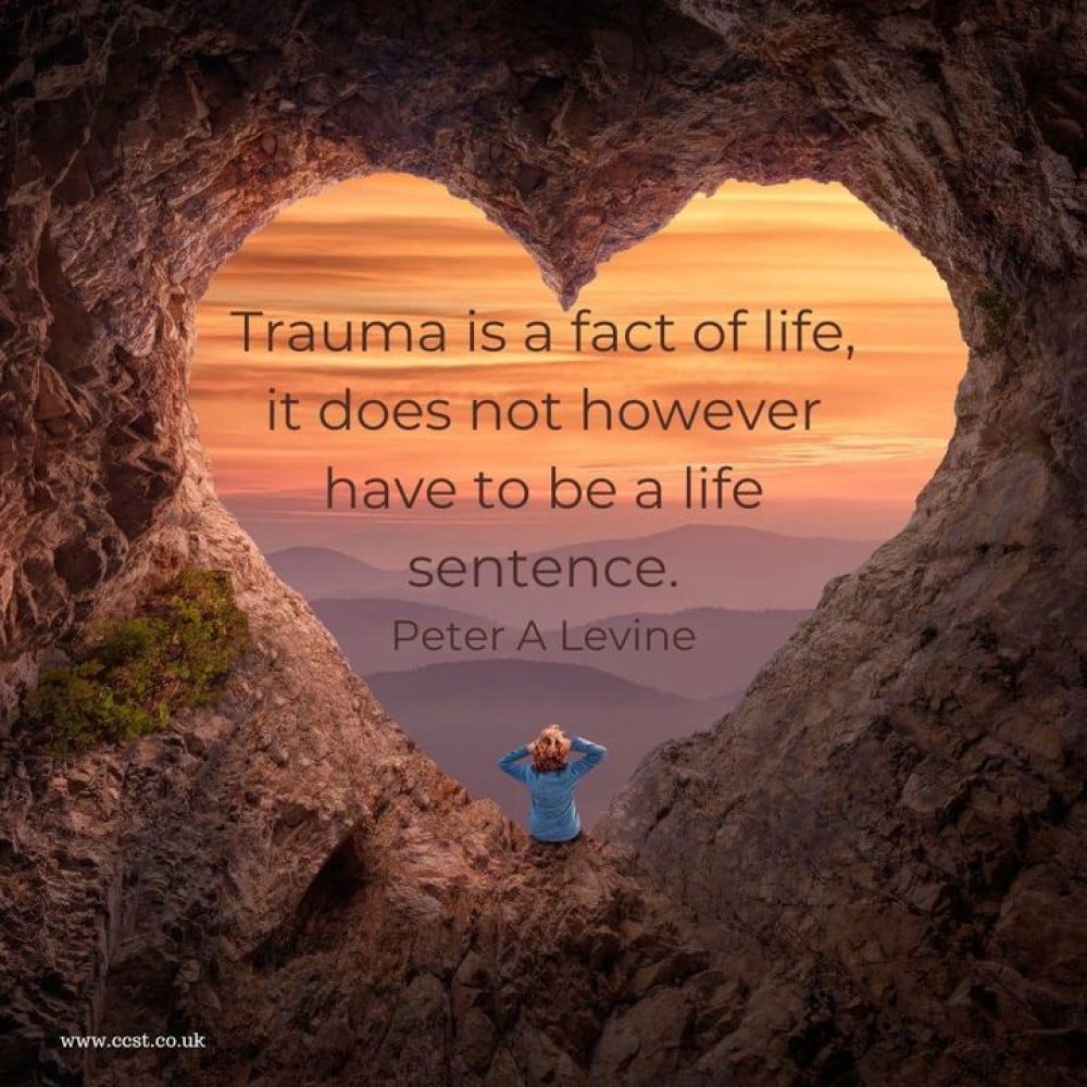 Shock and trauma have profound and fundamental effects, with far reaching conseq…