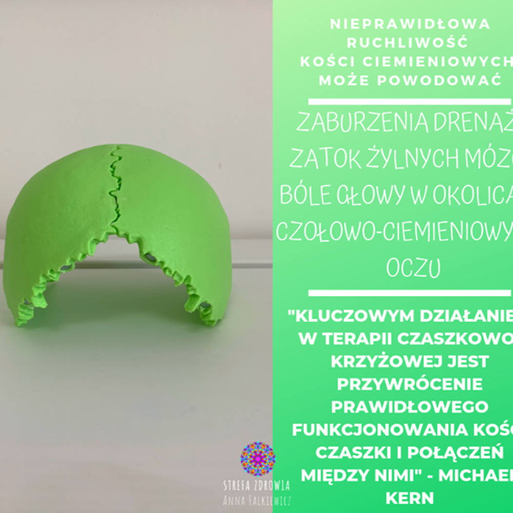 Koleżanka Terapeutka robi świetną robotę informacyjną Kości ciemieniowe, jako p…