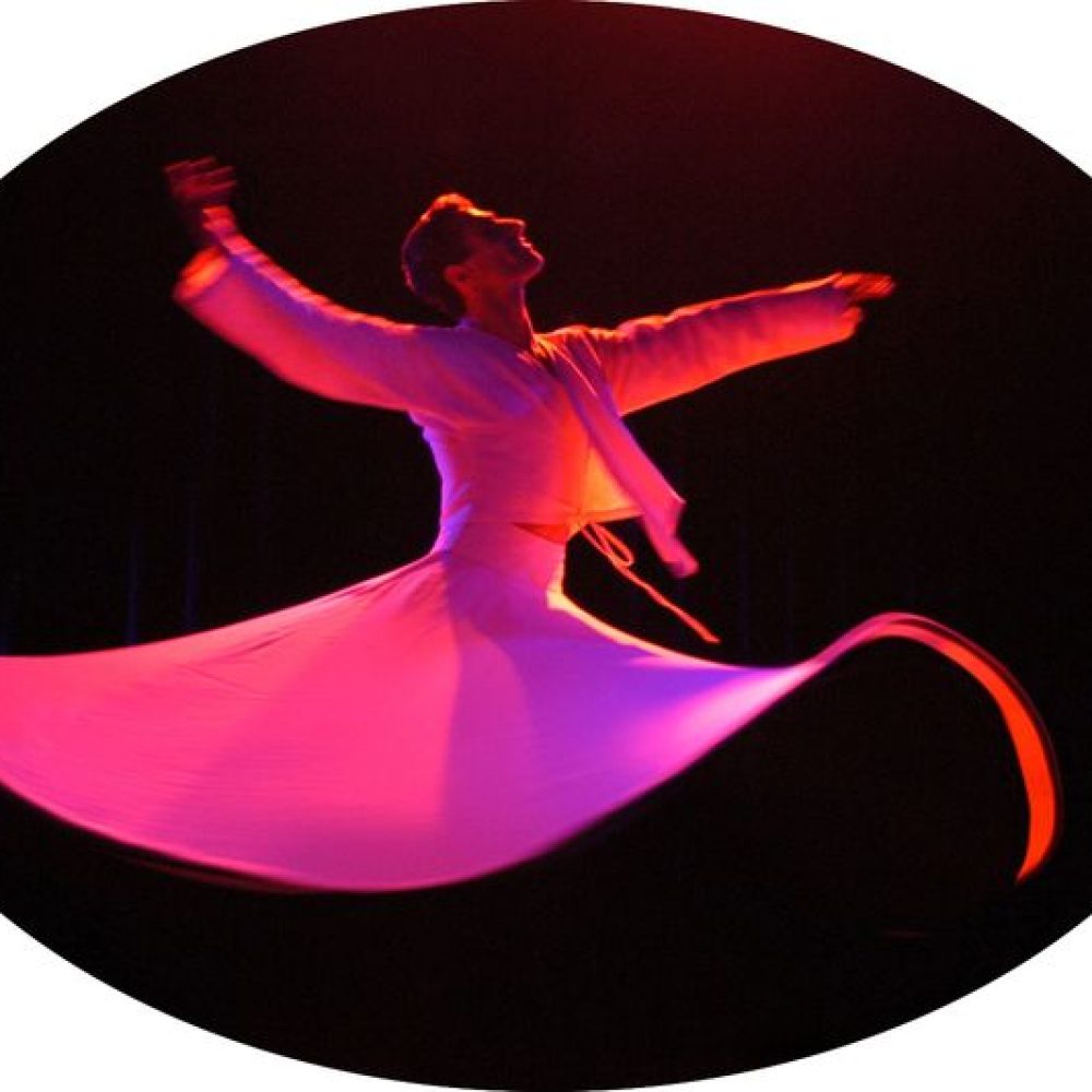 DYNAMIC STILLNESS
A profound appreciation of the power of stillness has been a …