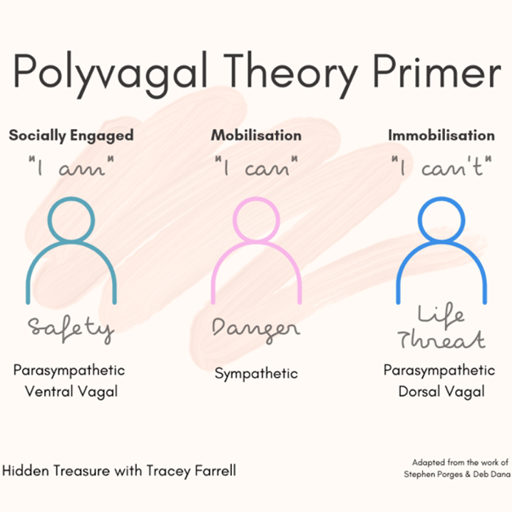 PolyVagal Theory: According to Dr Stephen Porges’ polyvagal theory, the vagus n…