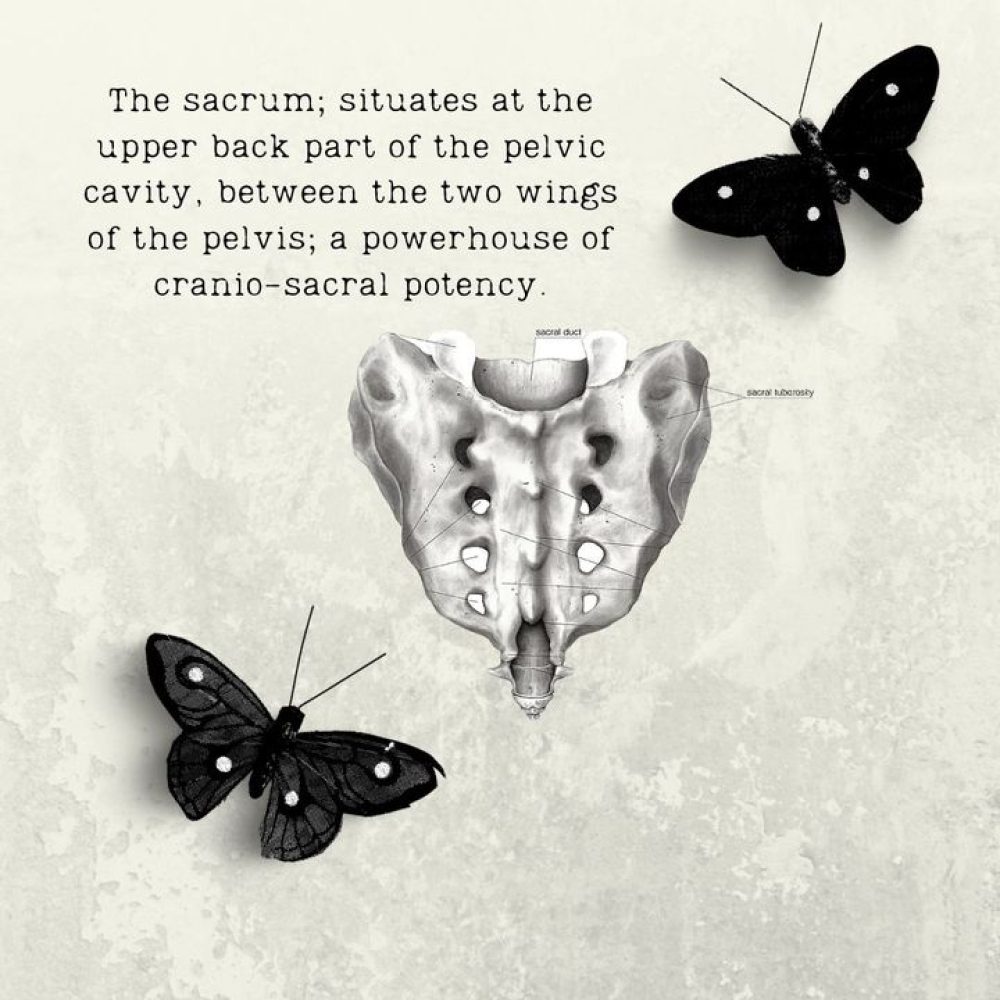 The sacrum, as the name cranio-sacral therapy suggests, is fundamental to cranio…